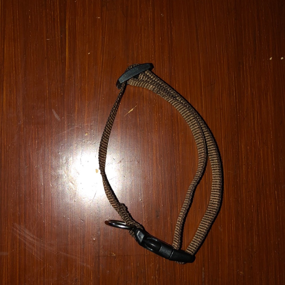 Brown medium/large dog collar adjustable